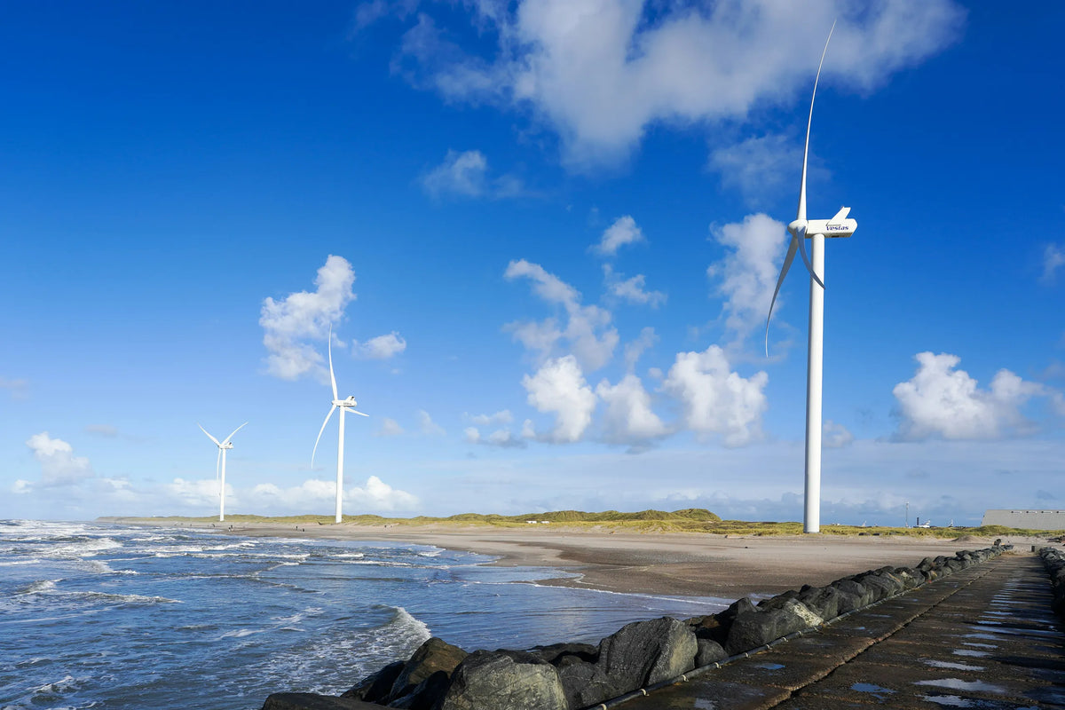 Adjusting Onshore Wind Renewable Energy Losses: Practical Experience You Can Call On