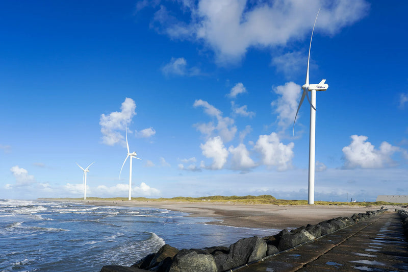 Adjusting Onshore Wind Renewable Energy Losses: Practical Experience You Can Call On