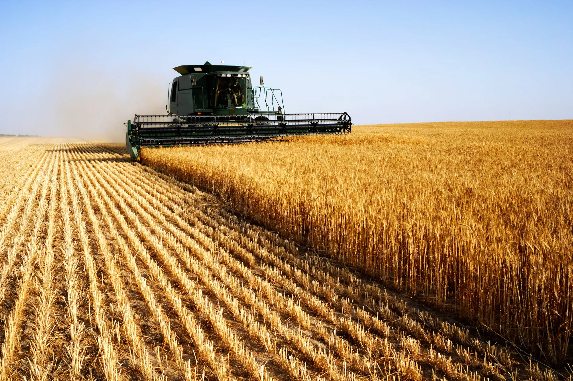 Agricultural combine harvester working in agricultural field
