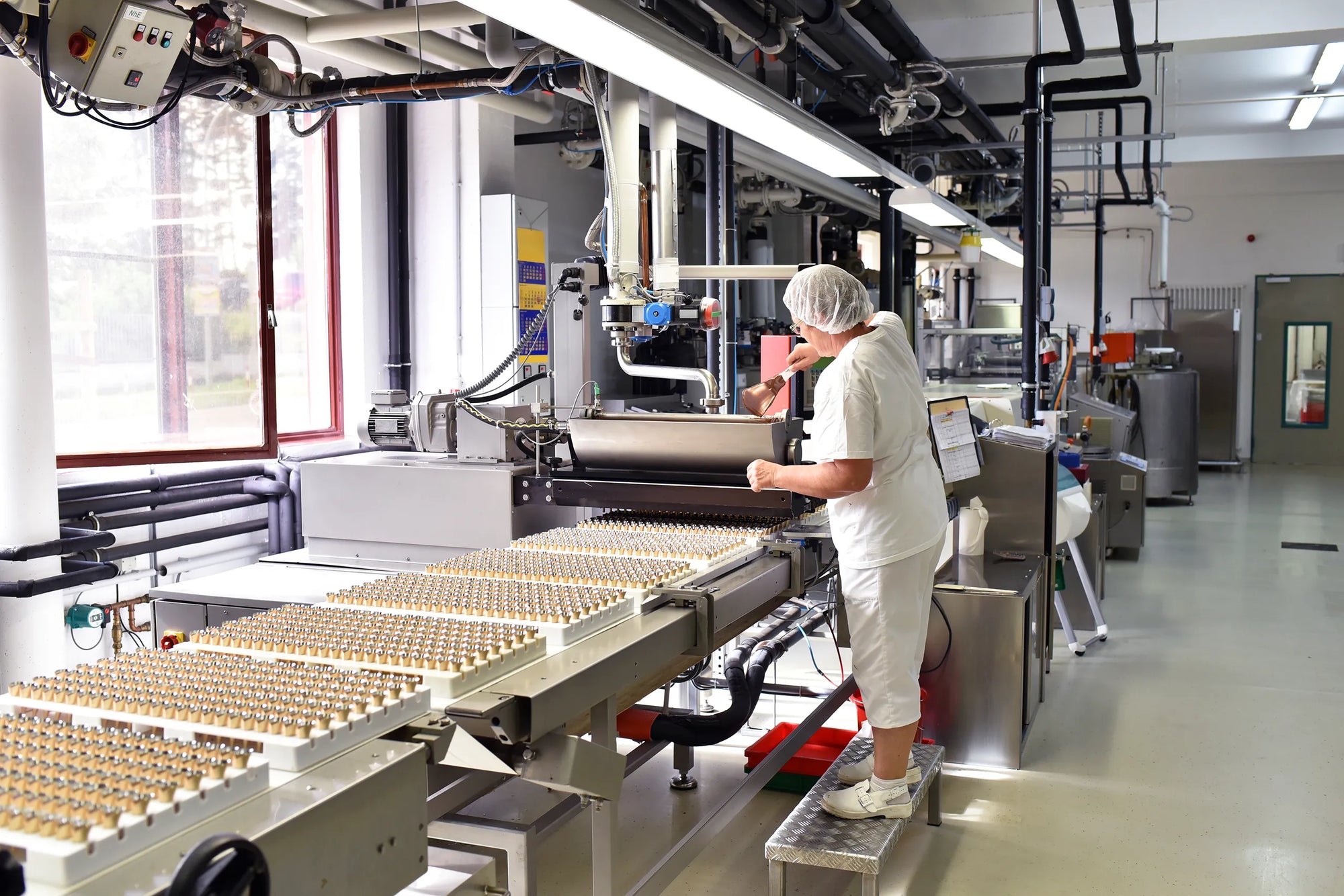 Food manufacturing facility production line health and safety