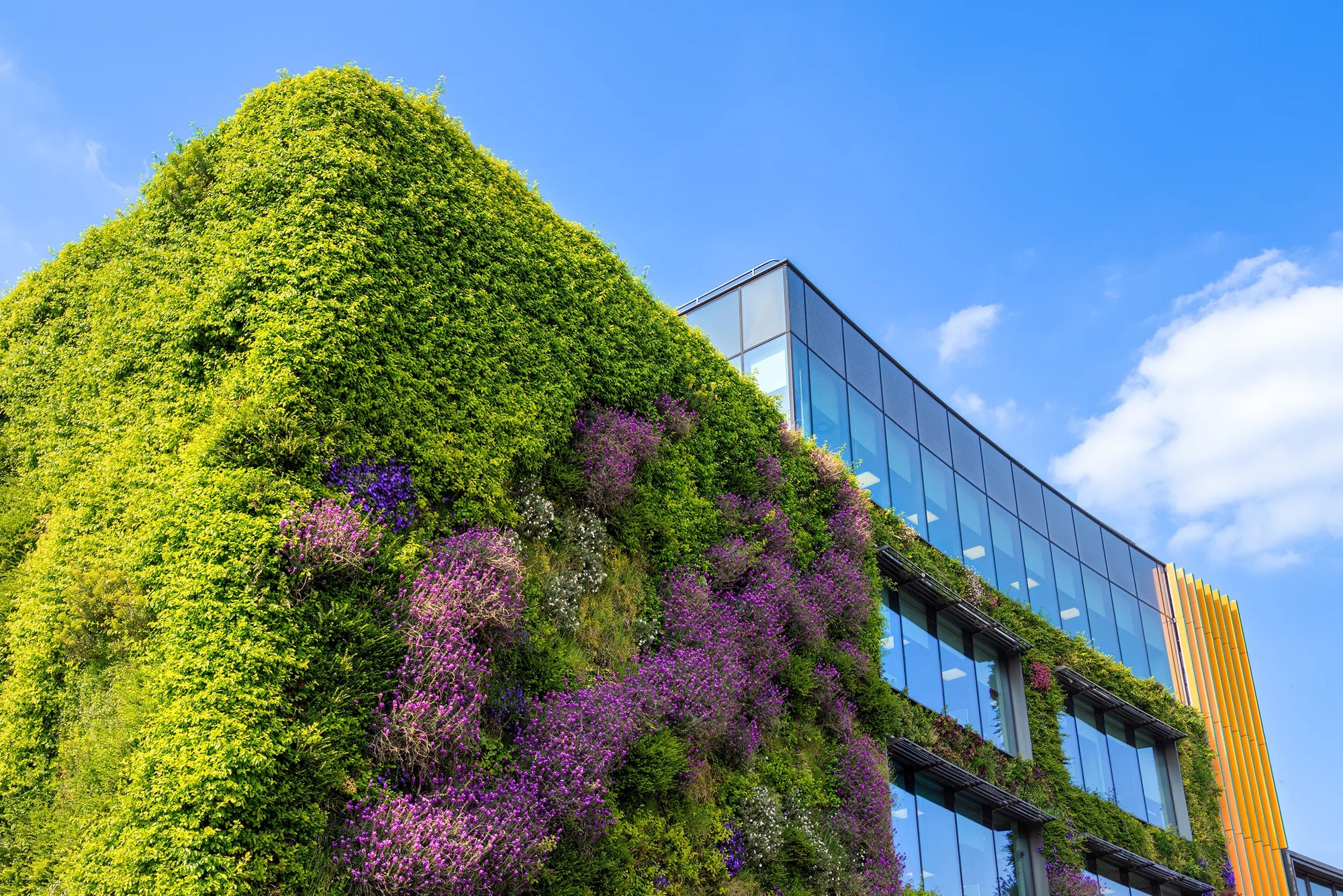 Corporate office building with green outdoor spaces