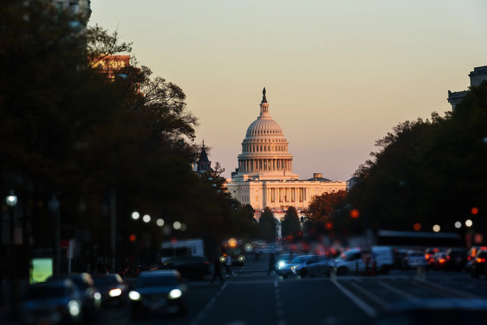Government and international political buildings for risk coverage