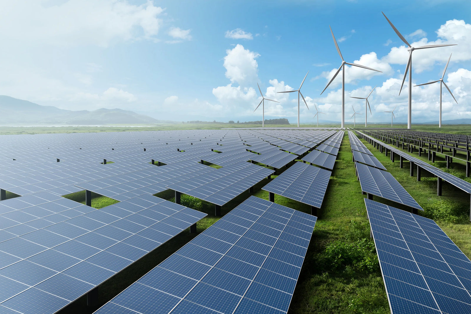 Large-scale solar panel farm for renewable energy